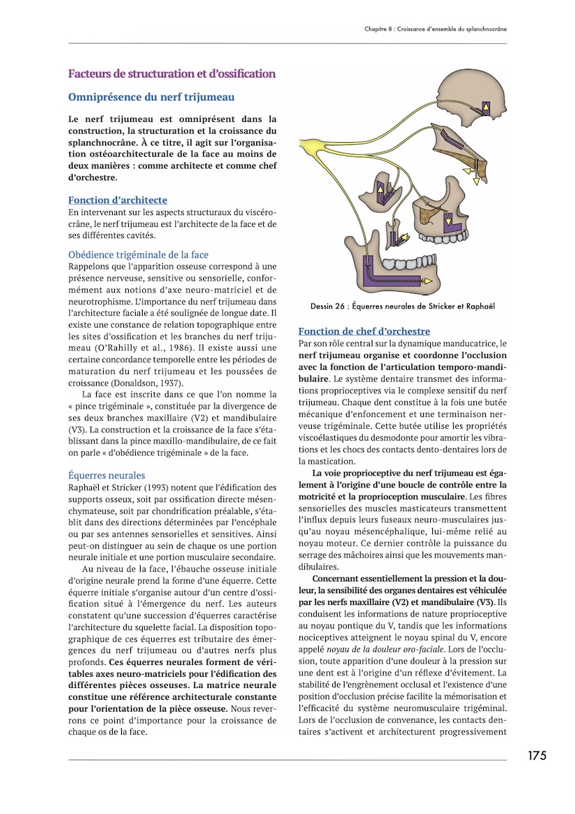 aperçu de la page 175 du livre Les Forces de Croissance - Volume 1 - Comprendre, par Alain Croibier